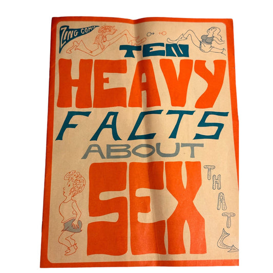 Ten Heavy Facts About Sex Vintage 1971 Booklet By Sol Gordon RARE