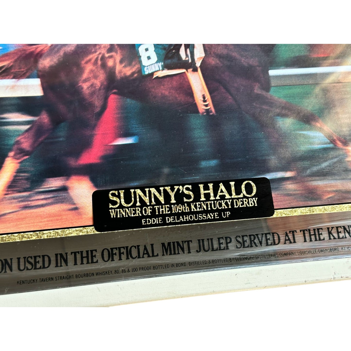 Sunny's Halo Winner of the 109th KENTUCKY DERBY Eddie Delahoussaye UP Wall Frame